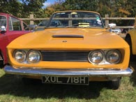 Radiator grille and headlamp detail