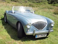 Austin-Healey 100