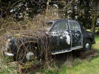 Rusty Rover 105 Black