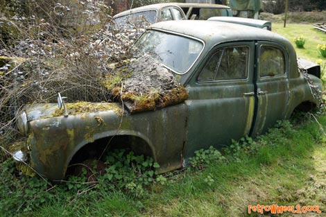 Rusty Rover 90 Green