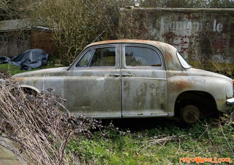 Rusty Rover 90 White